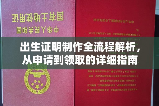 鄞州出生证明制作全流程解析，从申请到领取的详细指南